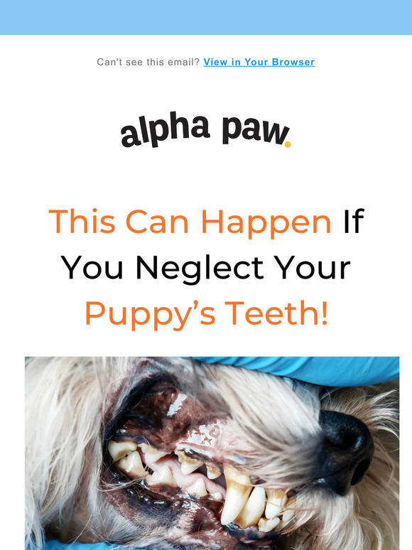 Attn Pet Parent, This Can Happen If You...