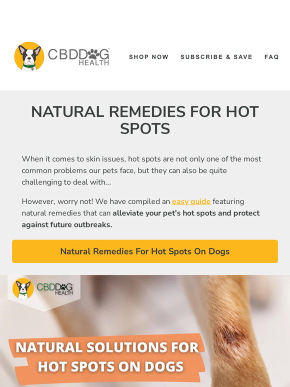 CBD Dog Health Natural Remedies for Hot Spots on Dogs Milled