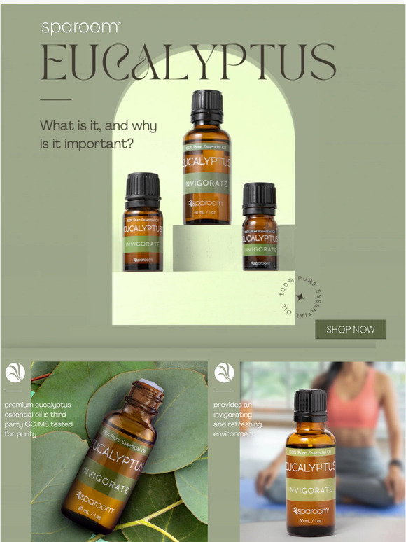 🍃 Eucalyptus Essential Oil: What is it? What is it good for?