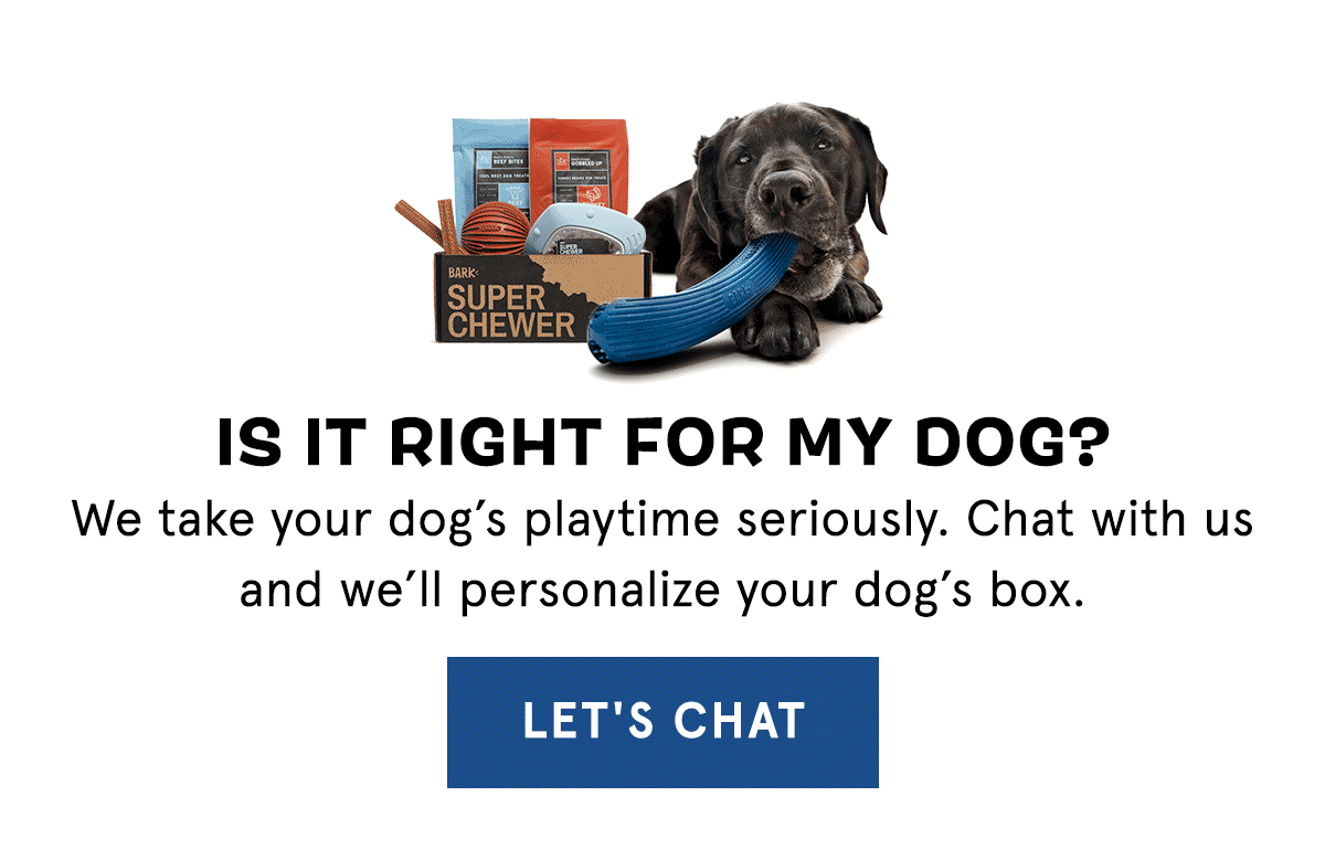 BarkBox: WOWZA! A free upgrade on your Simpsons Super Chewer Box 🎁 🎁 ...