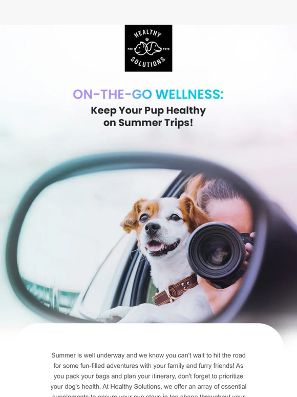 Travel Healthy with Your Dog This Summer! 🌞🐾