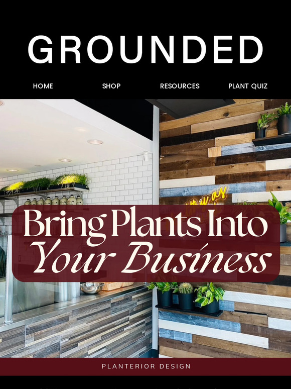 Planterior Design For Your Office, Restaurant + Home