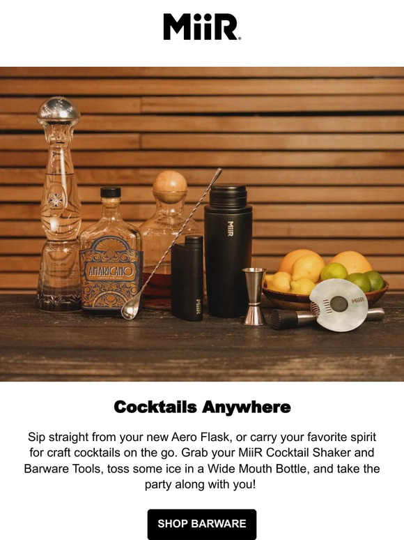Bring The Party With You