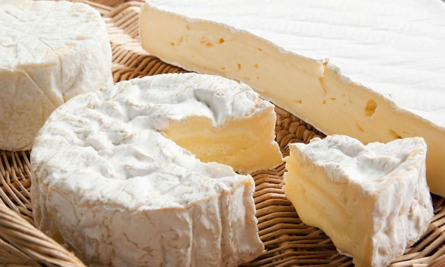 Boarderie What Is A Bloomy Rind Cheese? 🧀 Milled