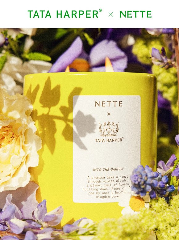 NEW Into the Garden Candle 🌸🌱