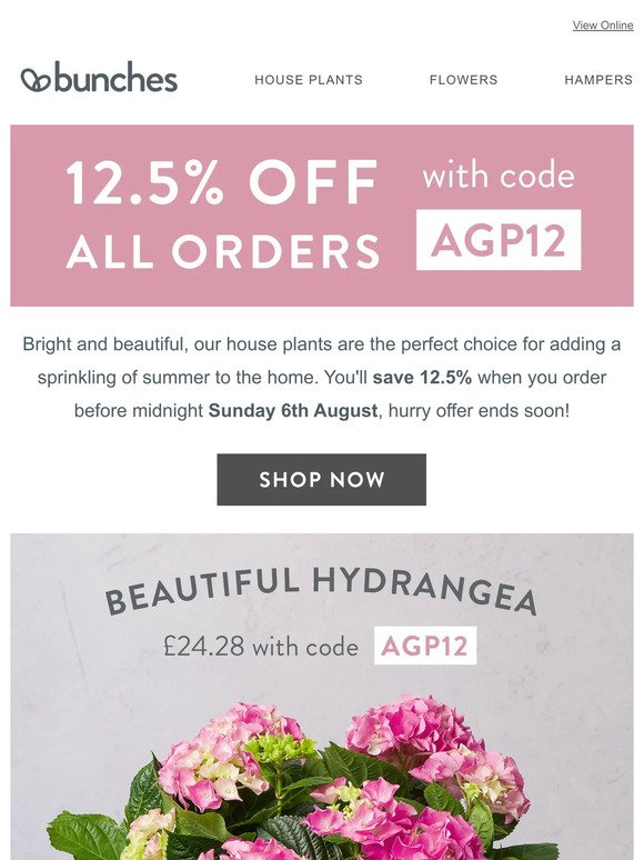 House plants to brighten their home with 12.5% off