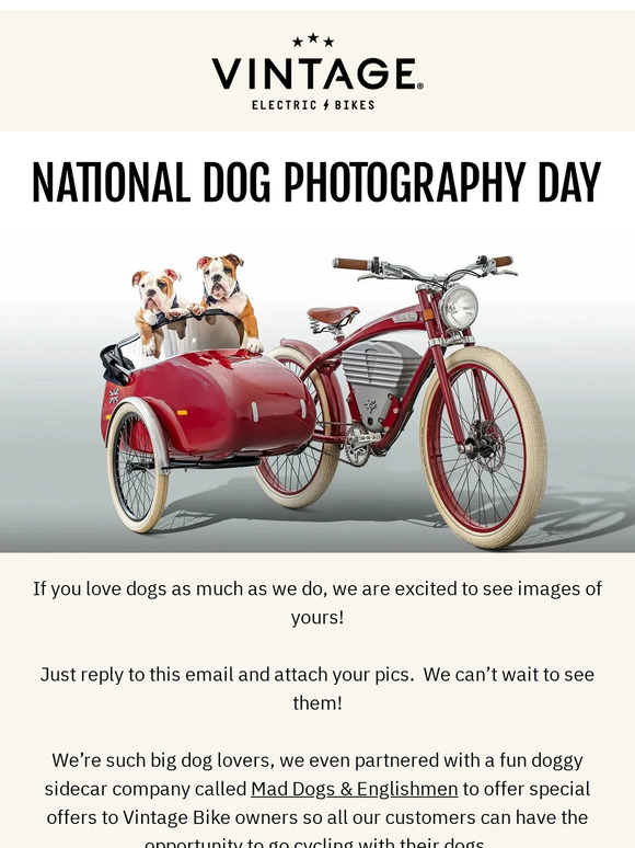 National Dog Photography Day