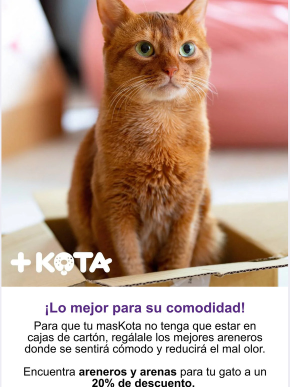 ¡Lo mejor para su comodidad!😺