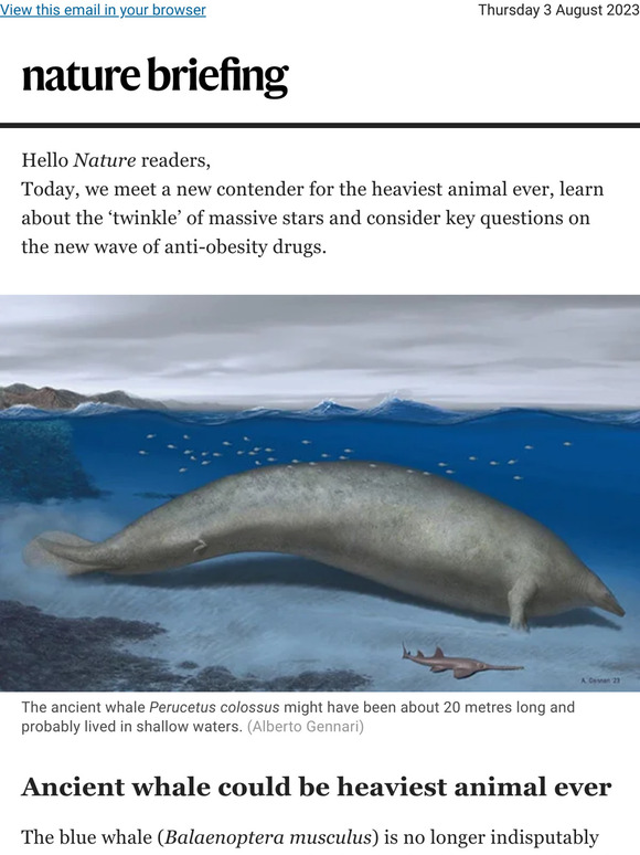 Nature INT: Giant ancient whale could be the heavier than blue whale ...