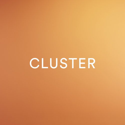 SHOP CLUSTER