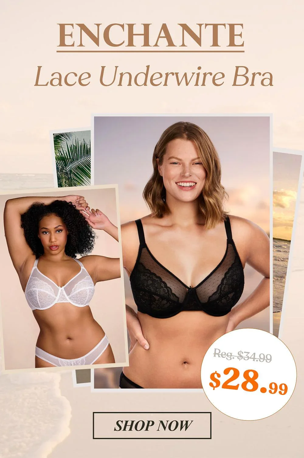 HSIA Enchante Underwire Lace Mesh Bra: Unlined Bra for Plus Size