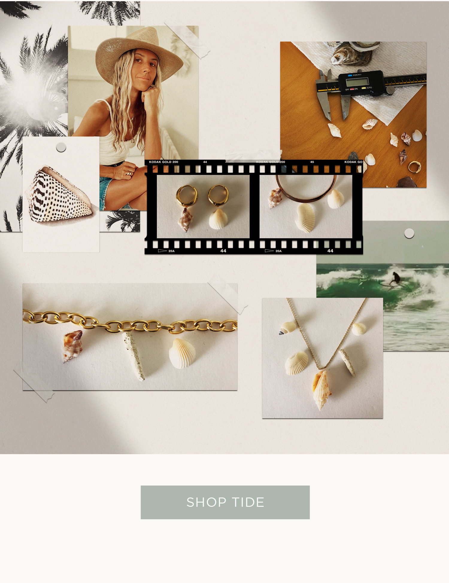 Shop Tide