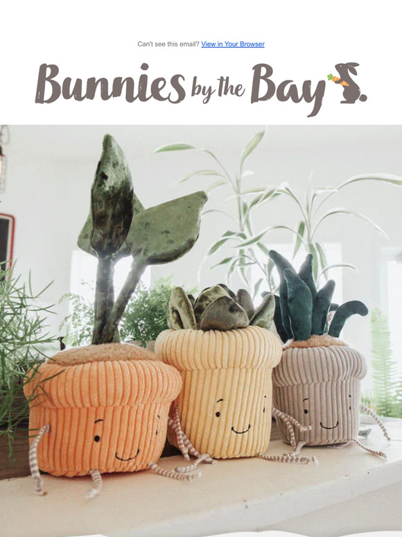 Friday Fun - 50% Off Stuffed Plants - Today Only