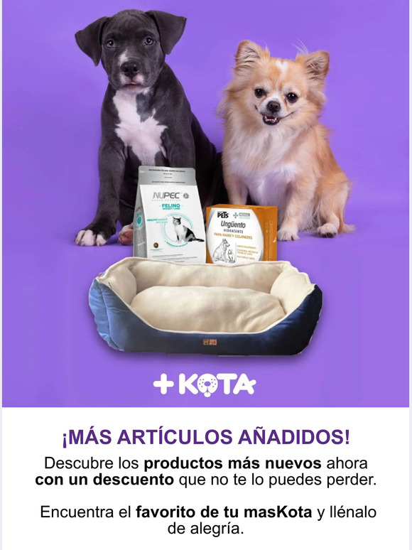 🐶¡Más artículos añadidos!🙀