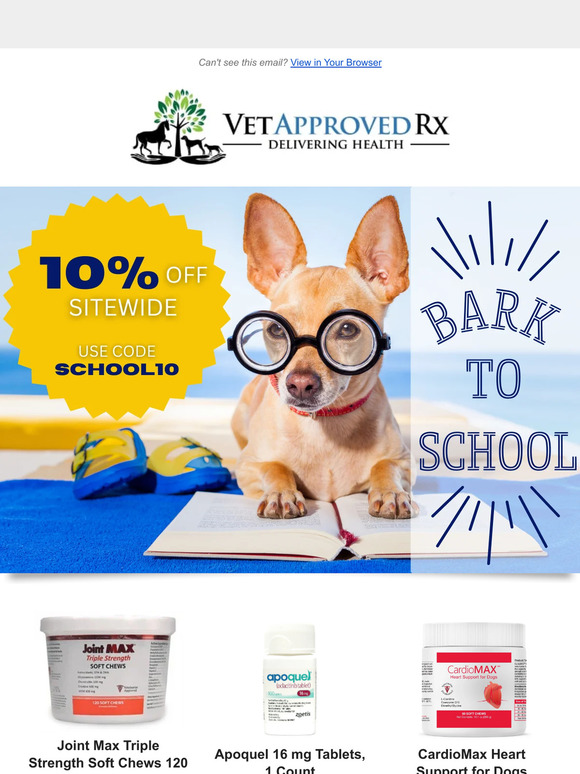 ✏️ Get ready. Get set. Get Bark to School!