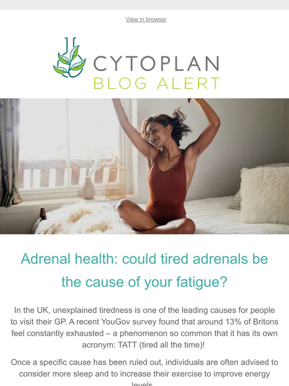 Are your adrenals causing your fatigue?