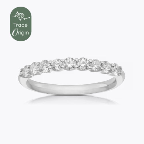 Origin Platinum 0.50ct Diamond 9 Stone  Eternity Ring