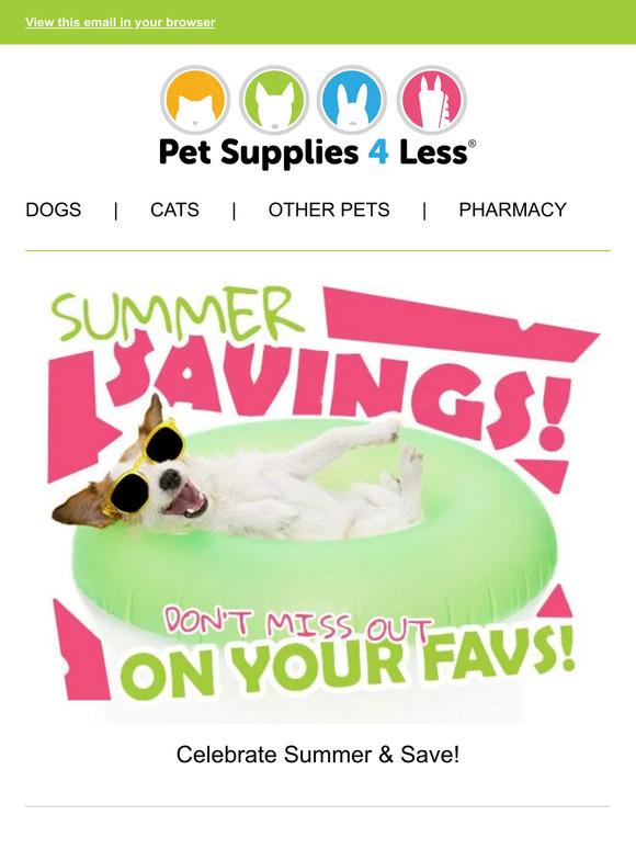 — 🛎️ This Deal Can't Be Beat!