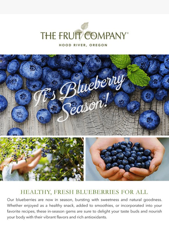 Fuel Your Day with Nutrient-Rich Blueberries - Order Now! 🫐
