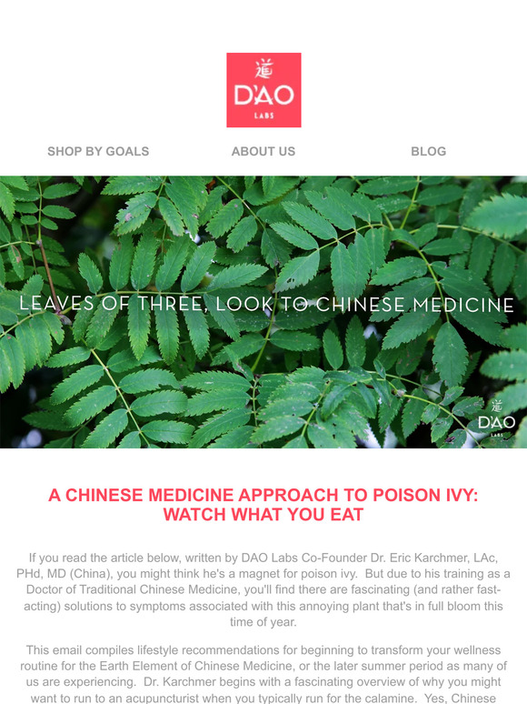 Your August Chinese Medicine Game Plan