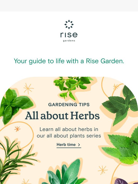 This Week at Rise Gardens Vol. 38 🌱🌻