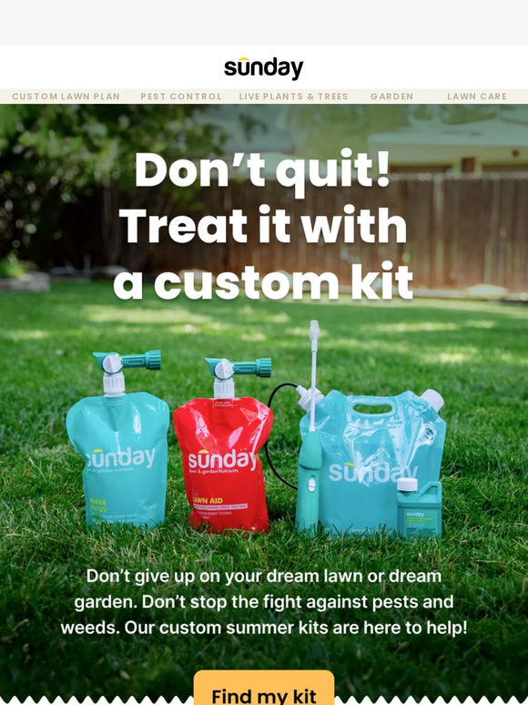 😎 Don’t quit on your lawn summer!