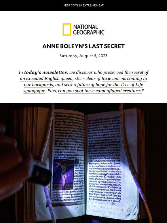 Before the queen’s execution, her scribbled prayer book vanished. Now we know how it remained secret.