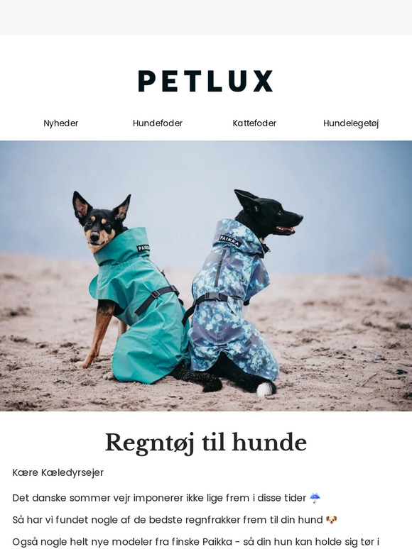 MUST HAVES - Er du & din hund klar til sommerregn?  💦☔