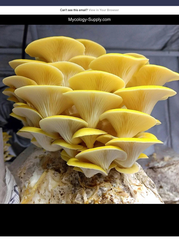 Optical Structures, Inc. Follow us on Social Media! Milled