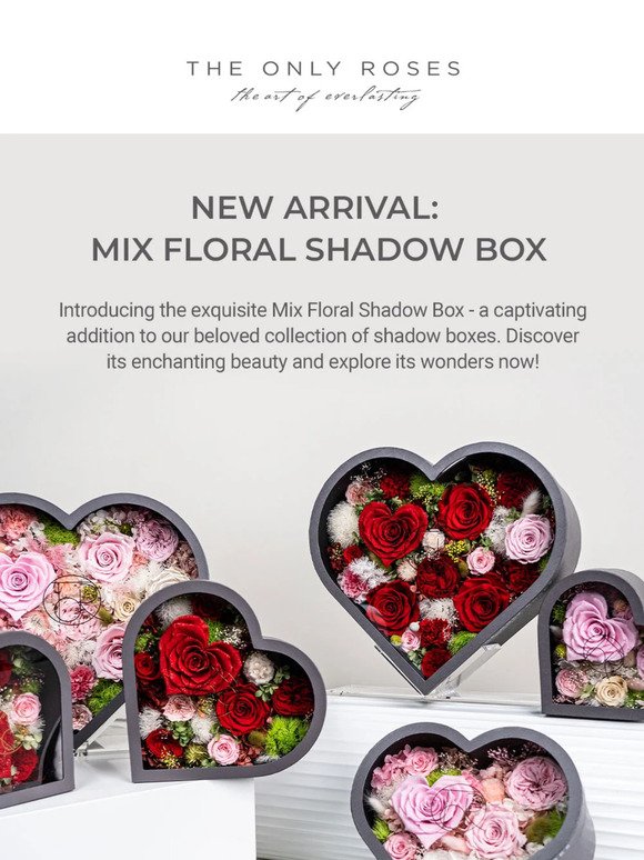 🌺 Check out our Mix Floral Shadow Box Collection - Love like never before!