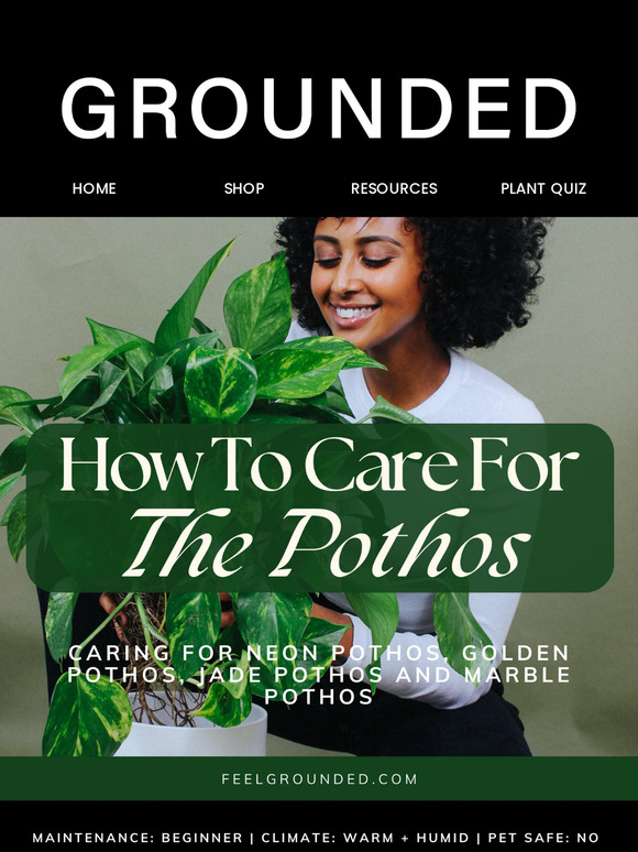 The Art of Caring for Your Pothos Plant 🌱