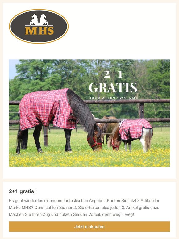 2+1 gratis! Gültig für alle MHS-Produkte