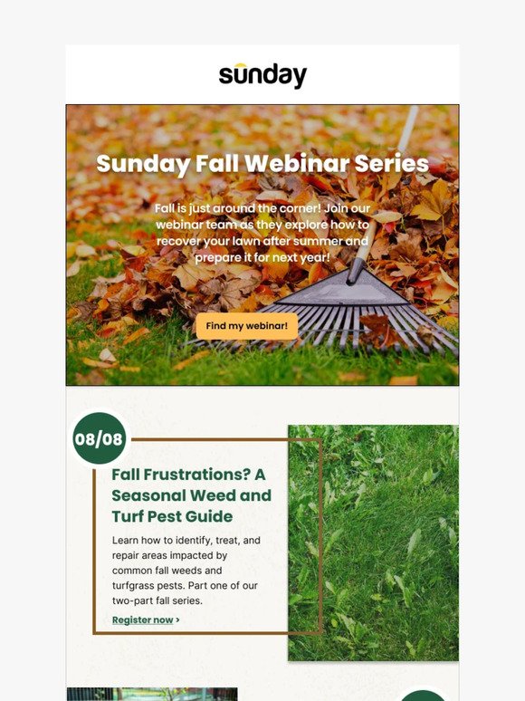 Prep your lawn for fall with Sunday experts 🍂