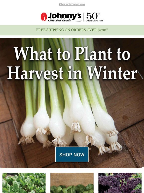 Grow Year-Round and Extend Your Harvest