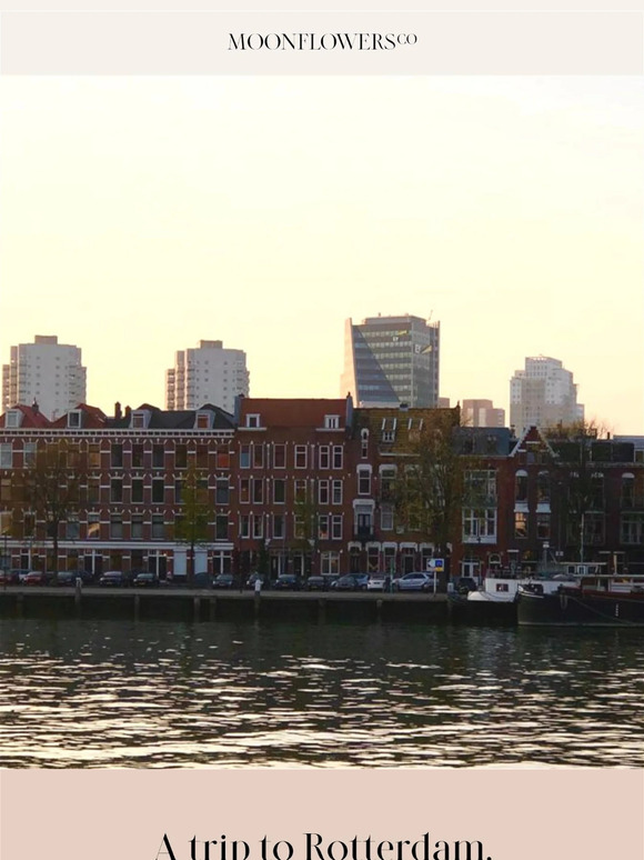Discover Rotterdam with Tahmina
