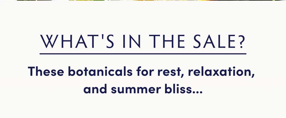 What's in the sale? These botanicals for rest, relaxation, and summer bliss...