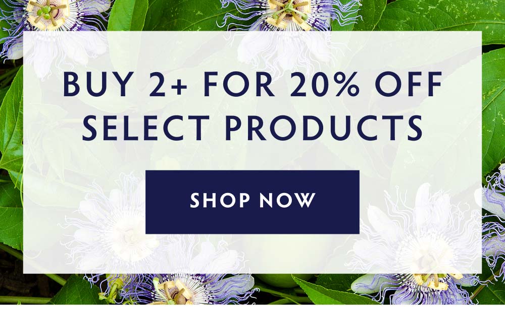 Buy 2+ for 20% off Select Products - SHOP NOW