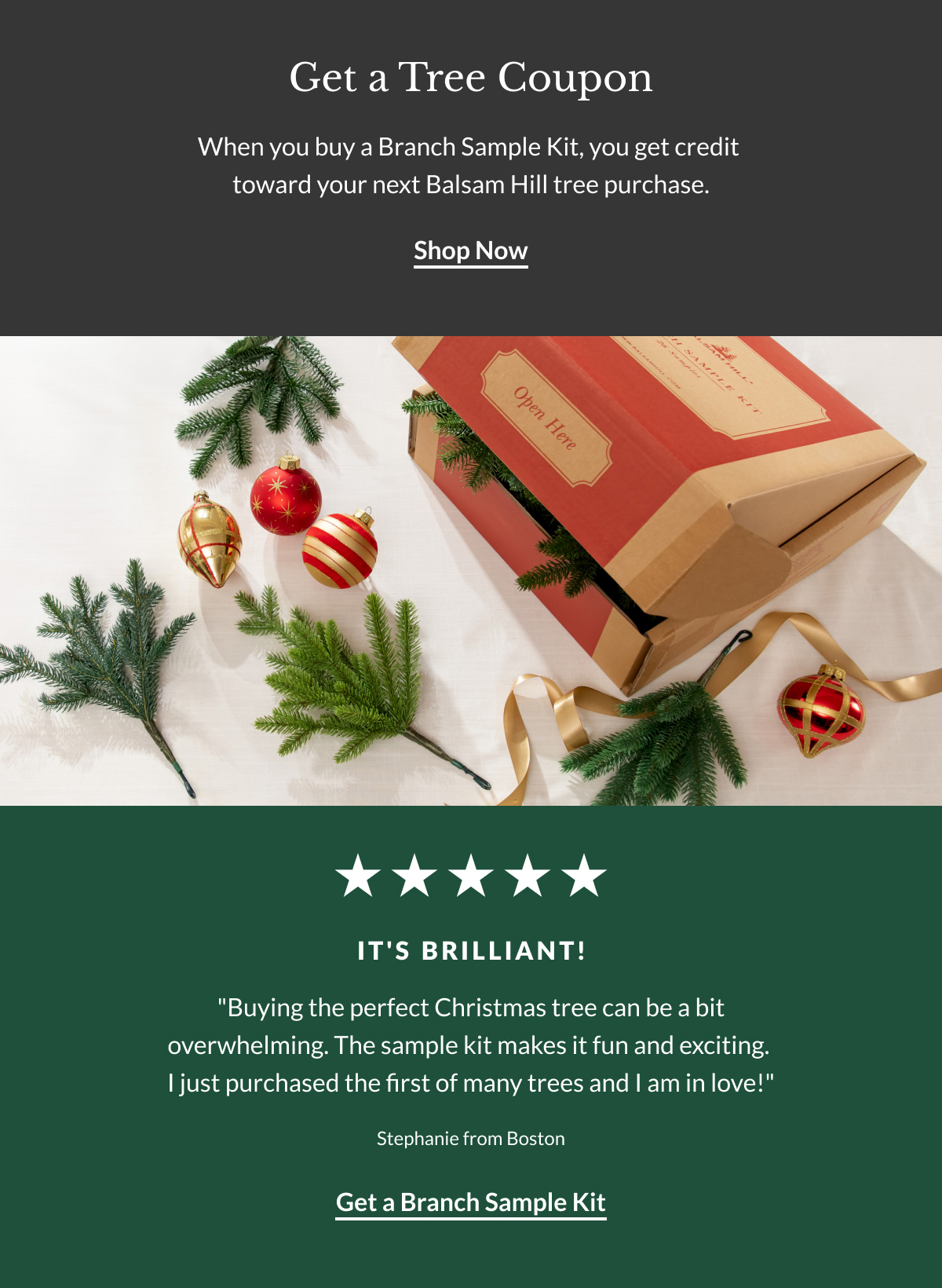 Balsam Hill What's Inside the Branch Sample Kit Milled