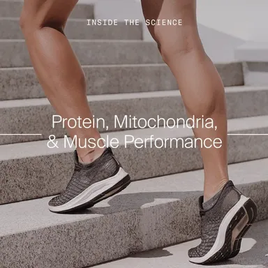 Protein Mitochondria and Muscle Performance