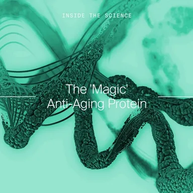 Magic anti-aging Protein