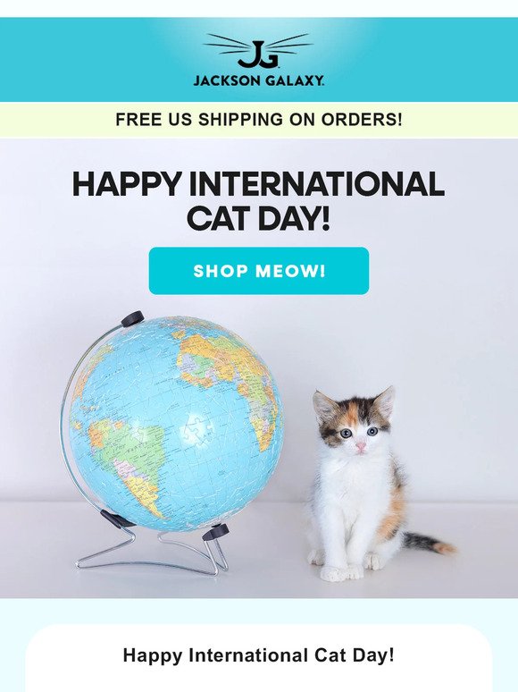 FREE SHIPPING for International Cat Day! 😻🌎