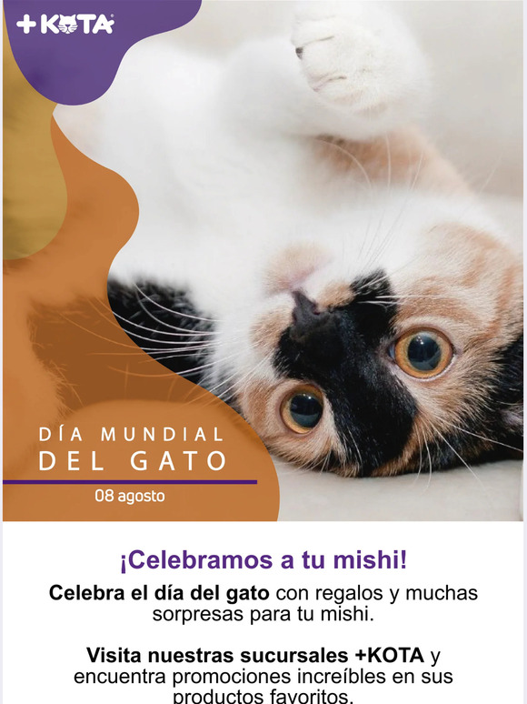 🎉¡Celebramos a tu mishi!🐱