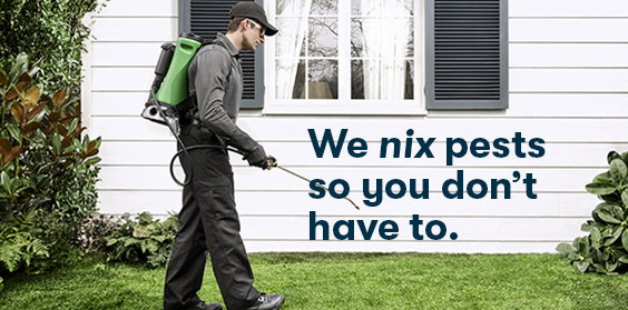 There’s no room
for pests in your home.