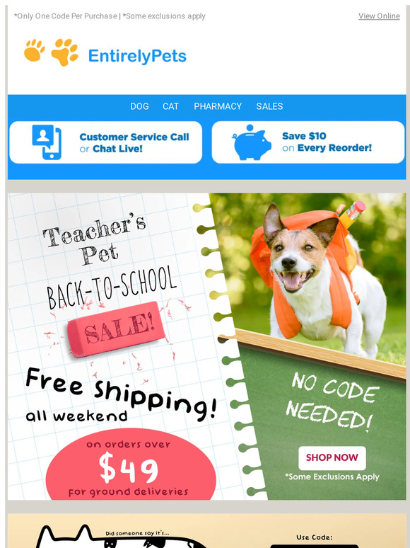 🎓🐶 Going Back To School To Learn New Tricks!
