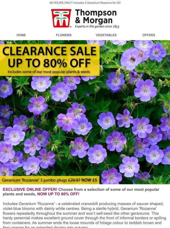 CLEARANCE SALE! Up to 80% off plants & seeds