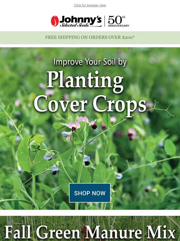 Sow Cover Crops Now for Spring Benefits