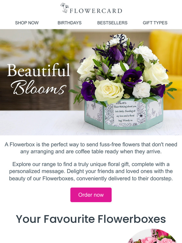Fuss-free flowers for you