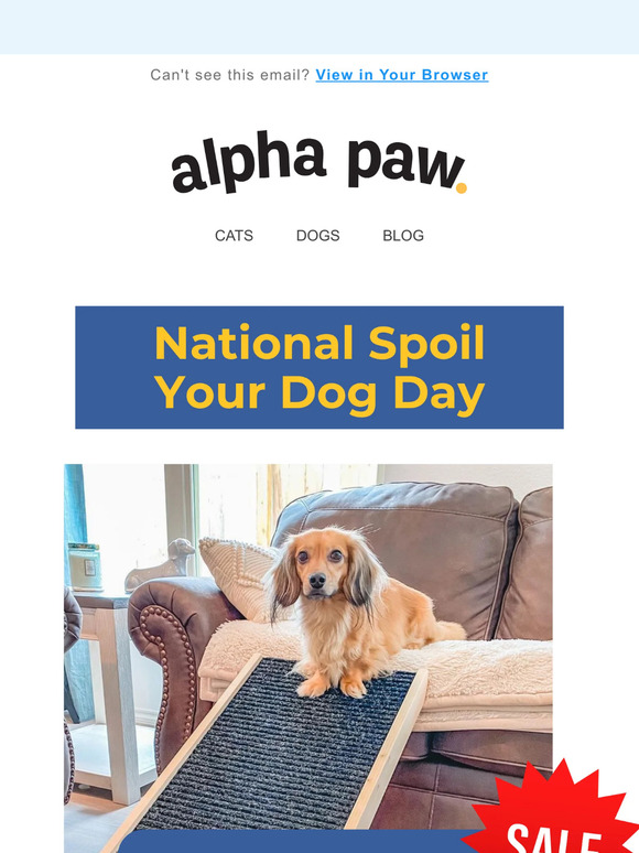 Hey Pet parent, Today is National Spoil Your Dog Day