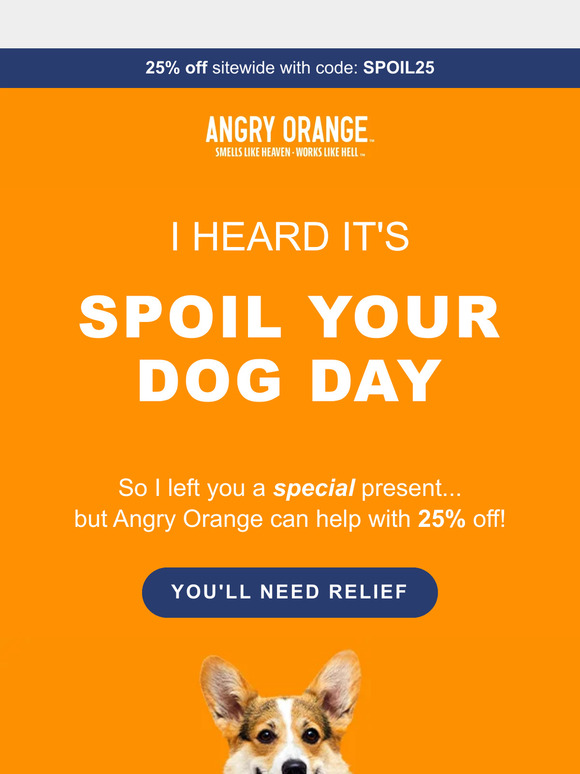 Your dog has something to say...