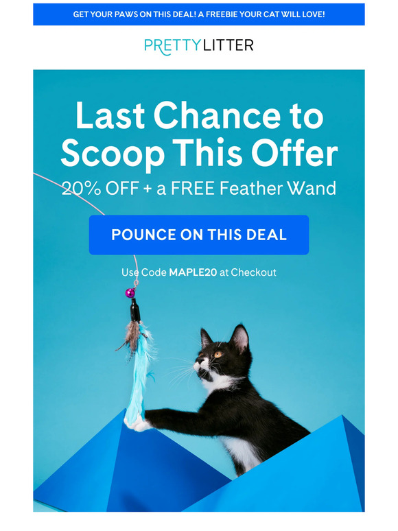 PrettyLitter CA Reminder Don't your free exercise teaser wand